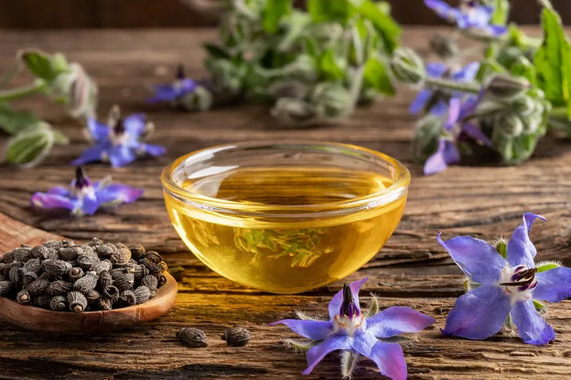 Borage oil in small glass bowl on a wooden table with borage seeds and borage flowers surrounding it