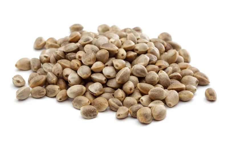 Hemp seeds in a pile on white background
