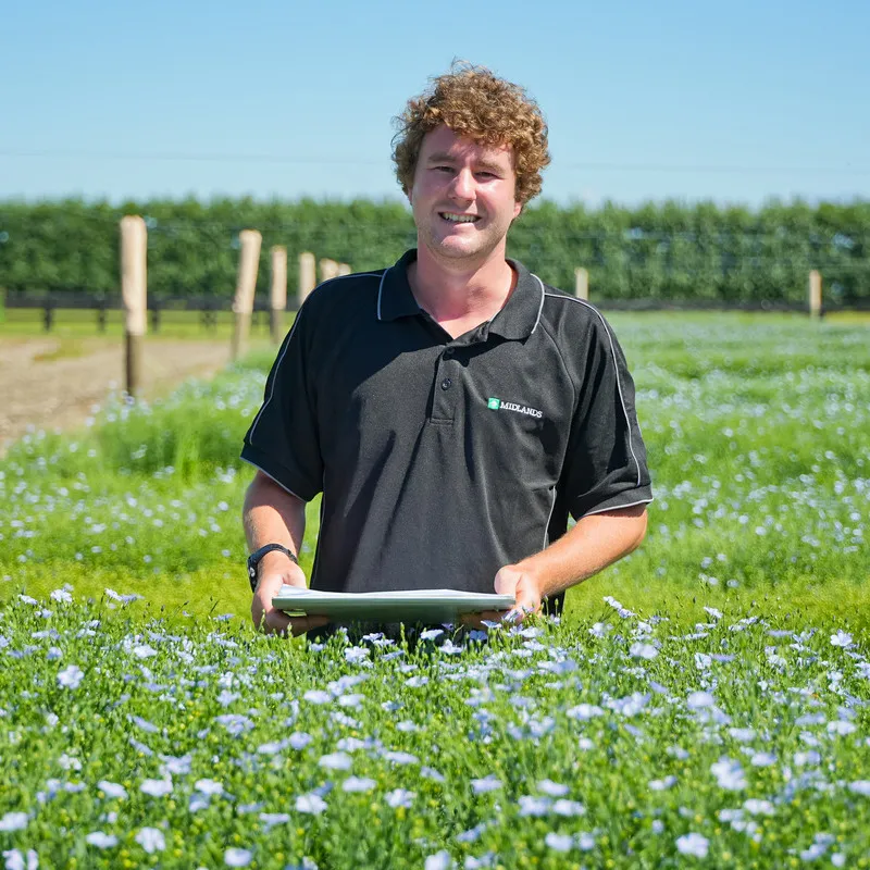 Man with clip board inspecting linseed crop