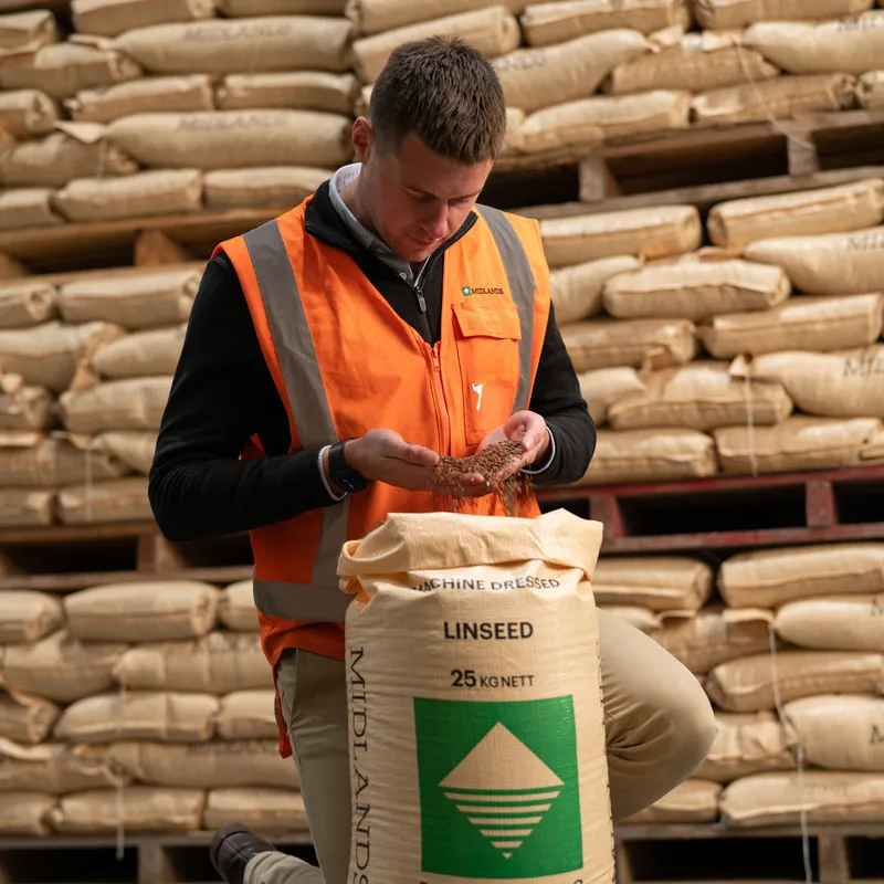 Man in orange hi vis vest inspecting brown linseed