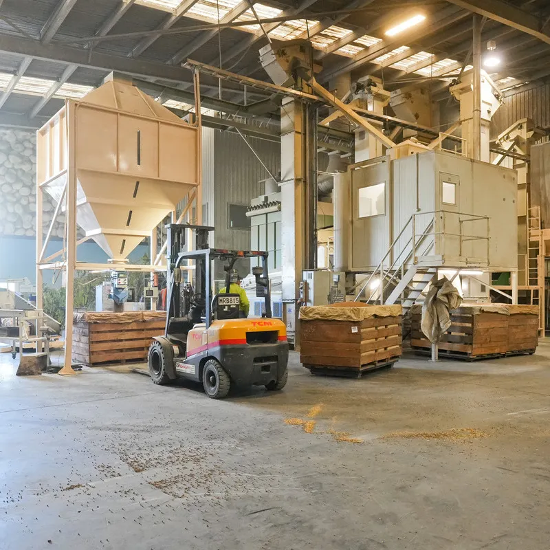 Pea dressing facility equipment