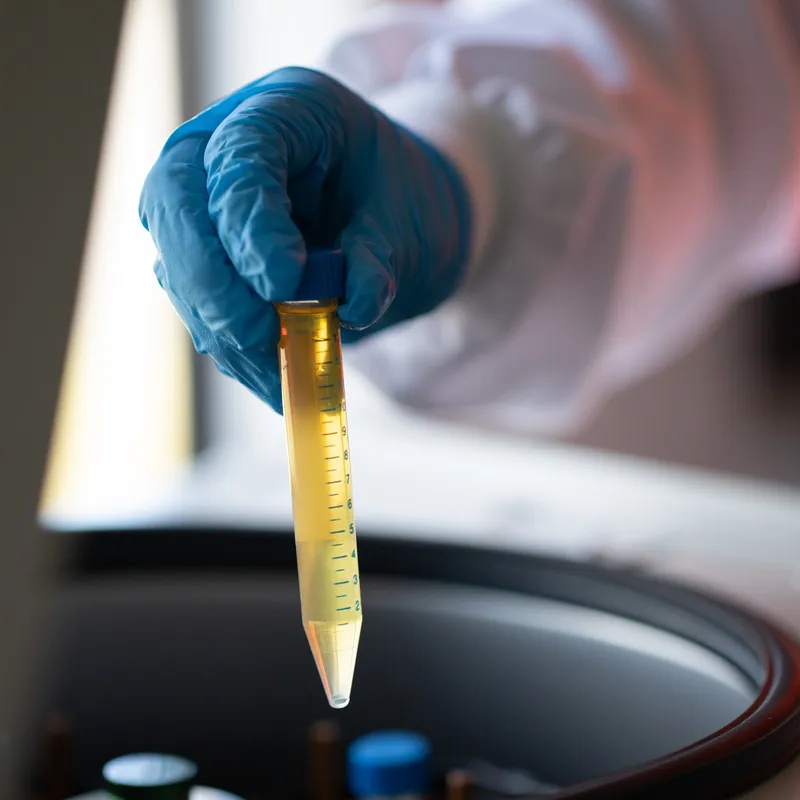 Manuka honey in test tube being placed in testing equipment