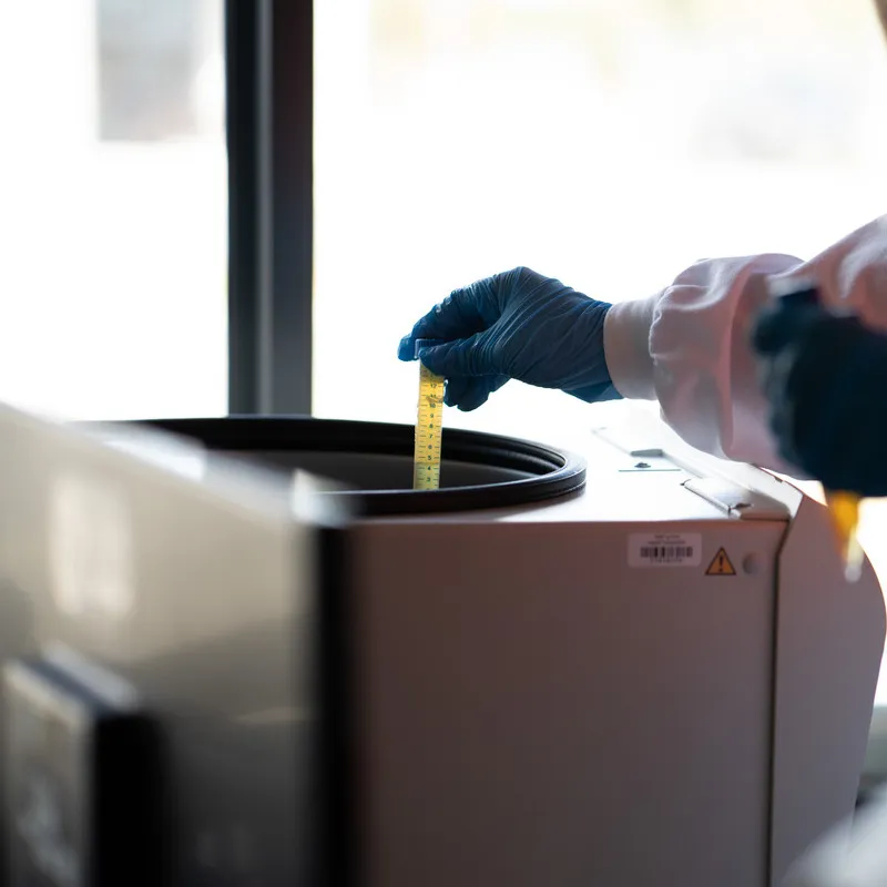 Honey in test tube being tested