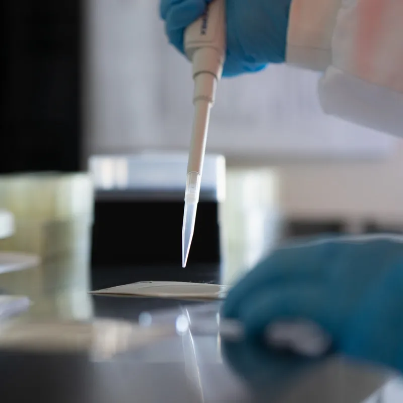 Testing honey in a lab