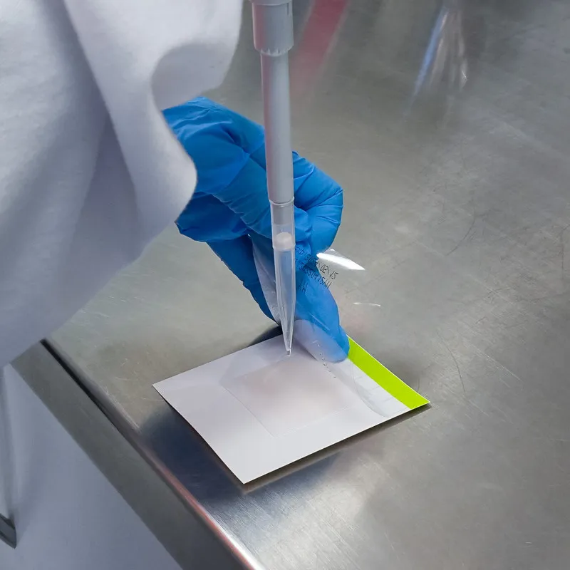 Testing honey in a lab