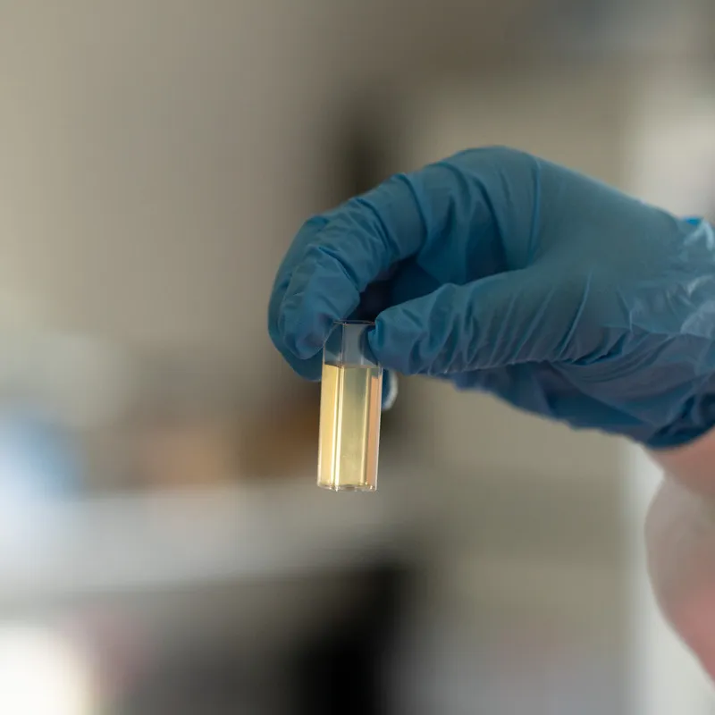 Close up of technician inspecting test tube of honey