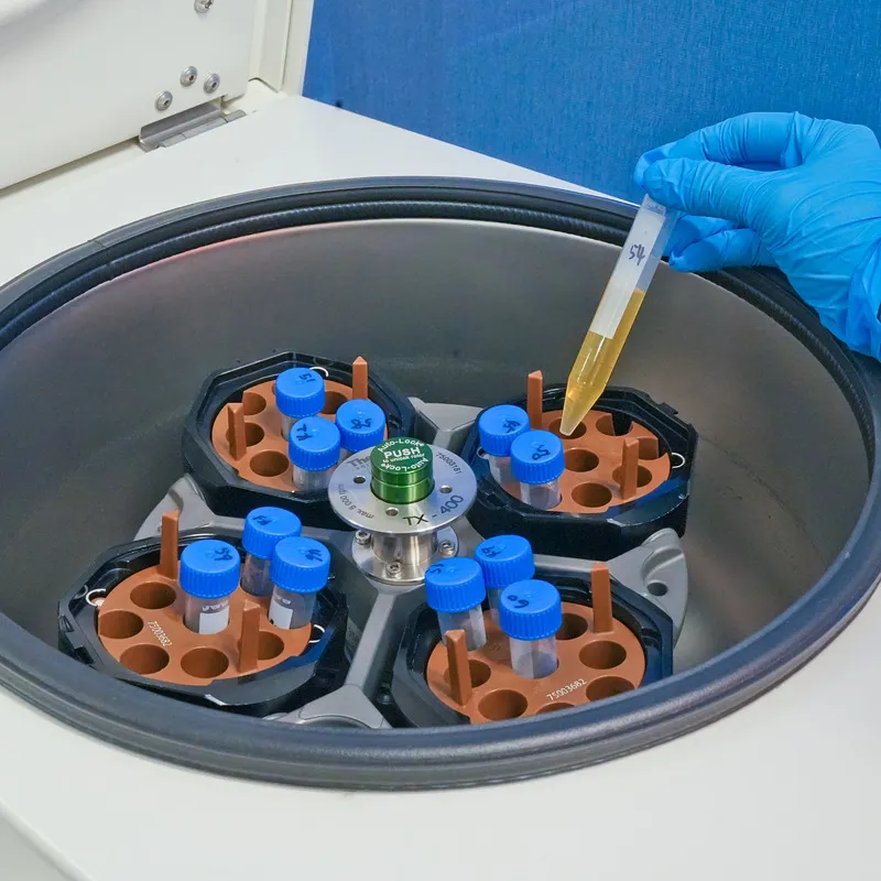 Honey in a test tube being placed in testing equipment