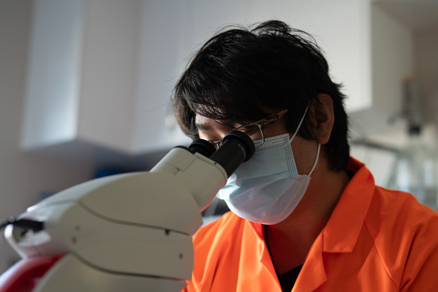 Technician inspecting honey through microscope