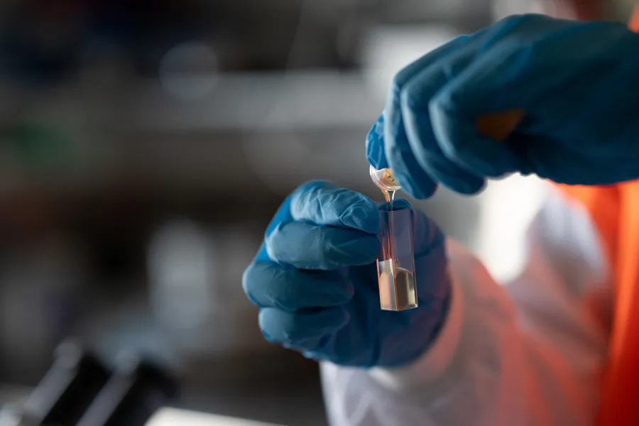 Honey being poured into test tubes for testing