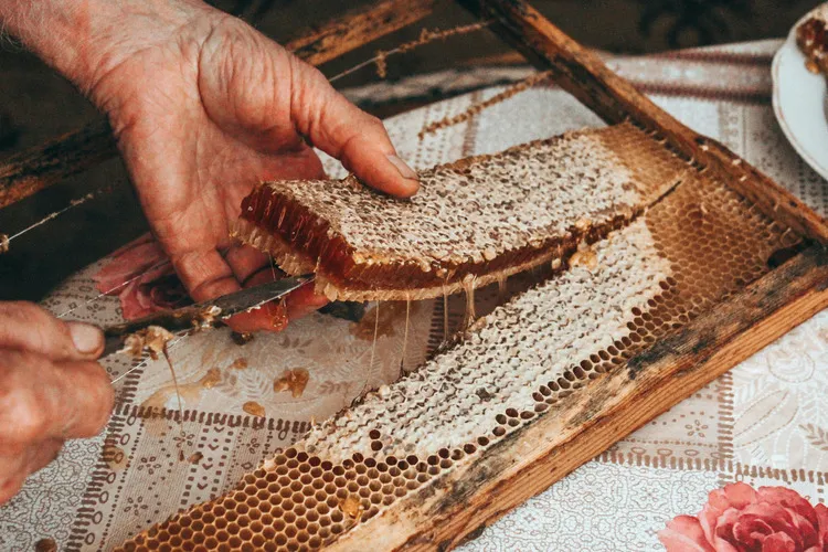 Honey comb in a wooden frame being cut out by an knife