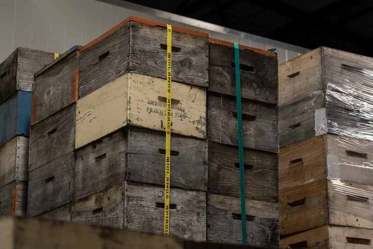 Hives stacked up in shed for extraction