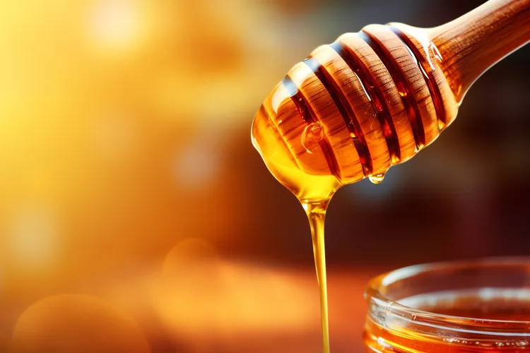 Honey dipper in sunlight