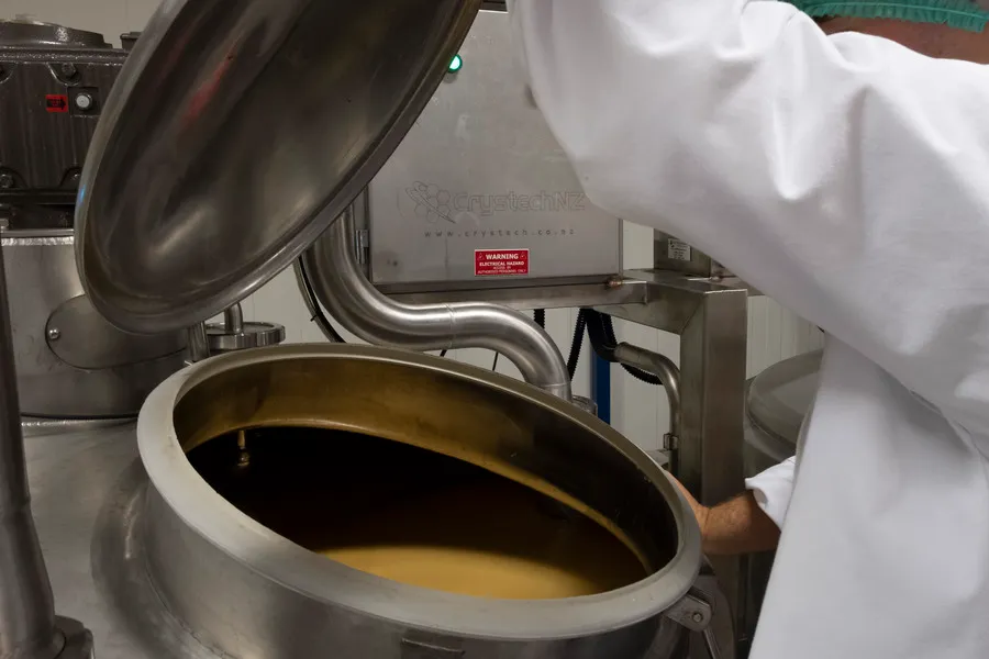 Technician inspecting Manuka honey creaming machine