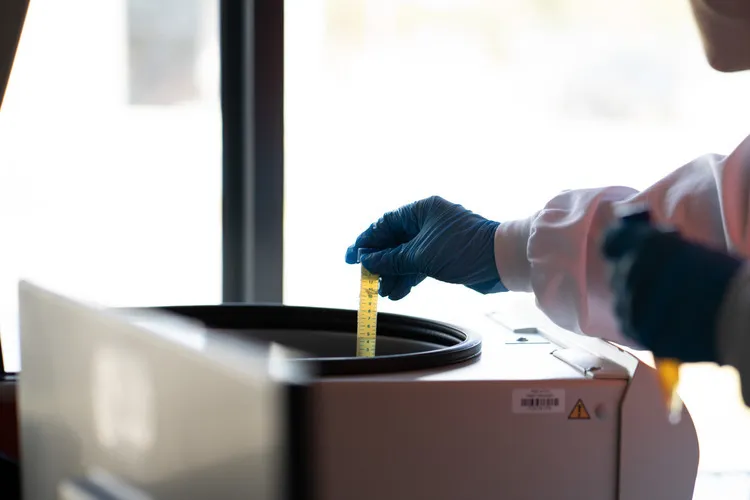 Technician placing test tube of Manuka honey being placed in testing machine
