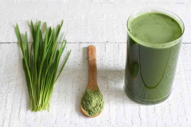 Barley Grass Powder on wooden spoon with Barley Grass Juice and stems on the side