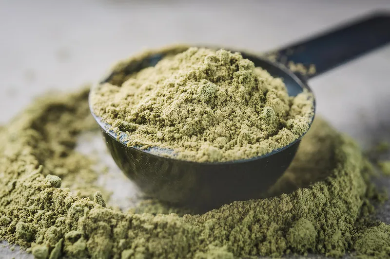 Close up of Hemp Protein in measuring spoon