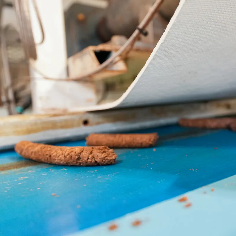 Flaxseed meal on blue conveyor belt