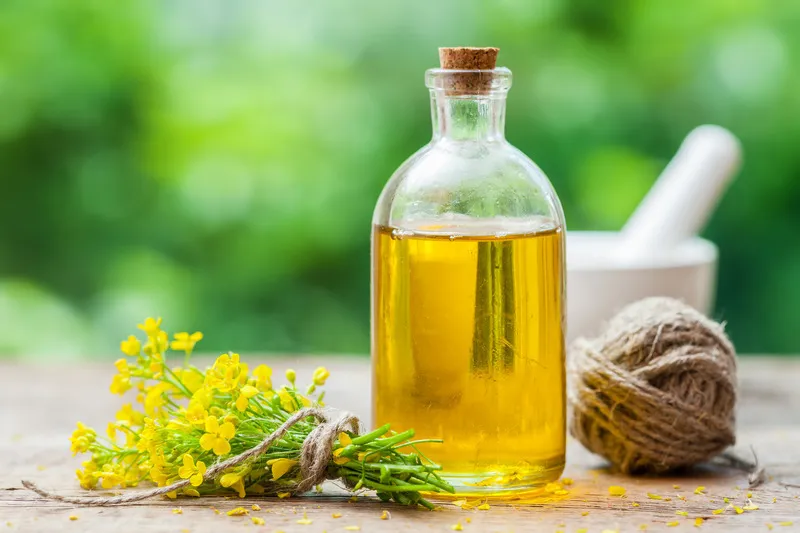Rapeseed oil in clear glass bottle with rapeseed flowers to the side