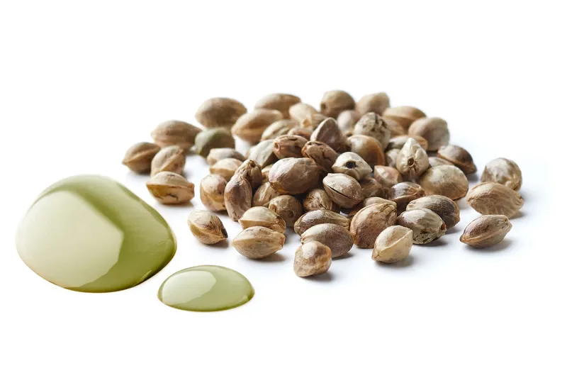 Hemp Seeds in a pile with green hemp seed oil splashed beside it