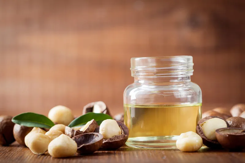 Macadamia nut oil in small glass jar with macadamia nuts surrounding it