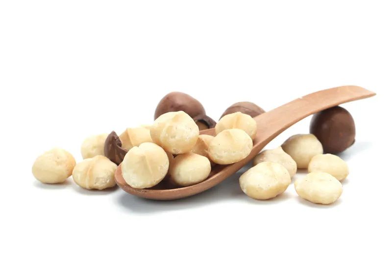 Shelled macadamia nut on a wooden spoon