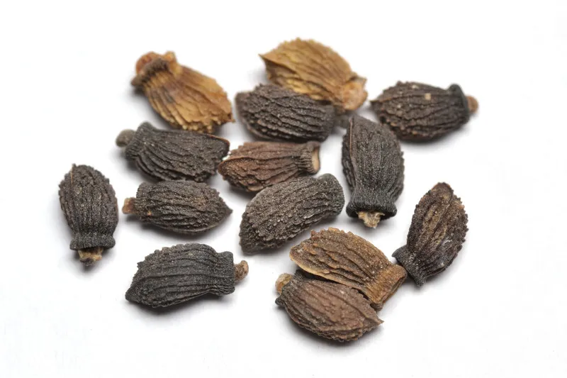 Close up of borage seed in a pile on white background