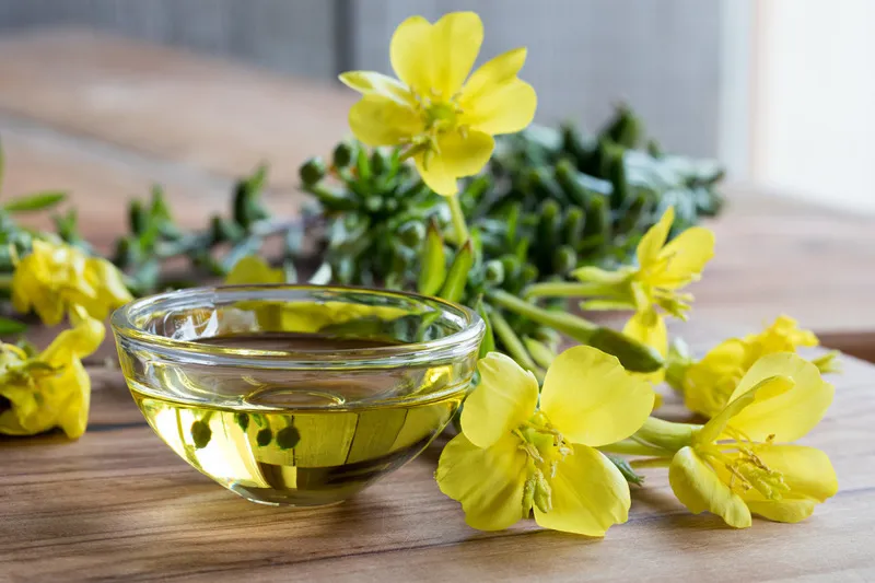 Small glass bowl of evening primrose oil with yellow evening primrose flowers beside it