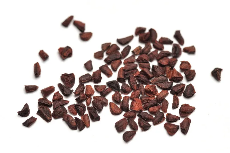 Close up of evening primrose seed in a pile on a white background
