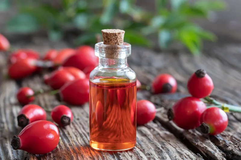 Rosehip oil in small glass jar with rosehip buds in the background
