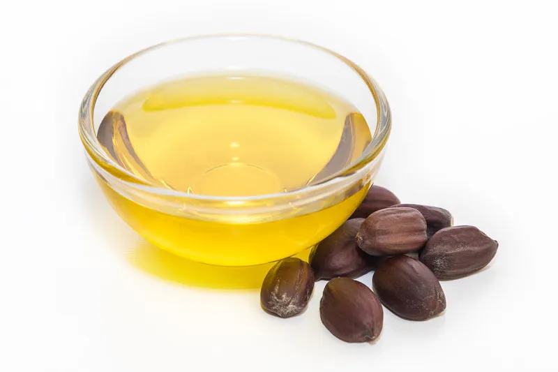 Jojoba oil in small glass bowl with jojoba pods beside it on a white background