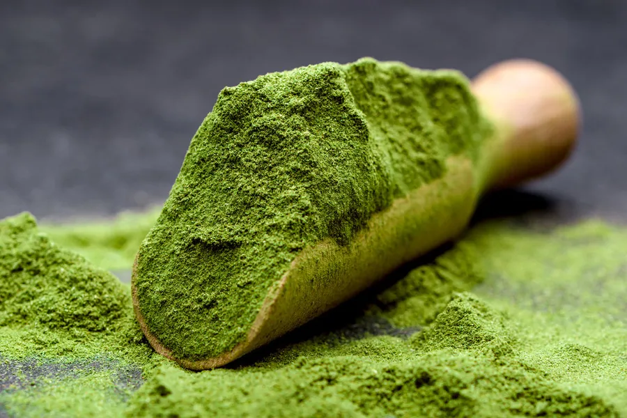 Barley Grass Powder in wooden scoop