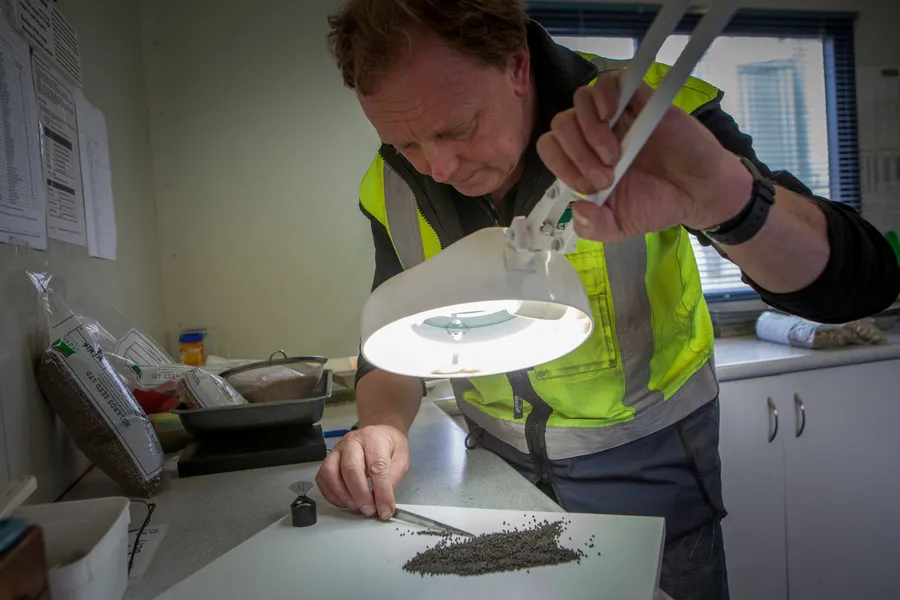 Man inspecting seed through magnifying glass