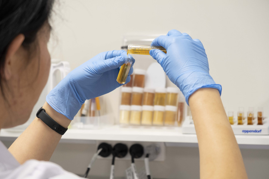 Laboratory technician wearing blue gloves examines manuka honey sample in a glass test tube.