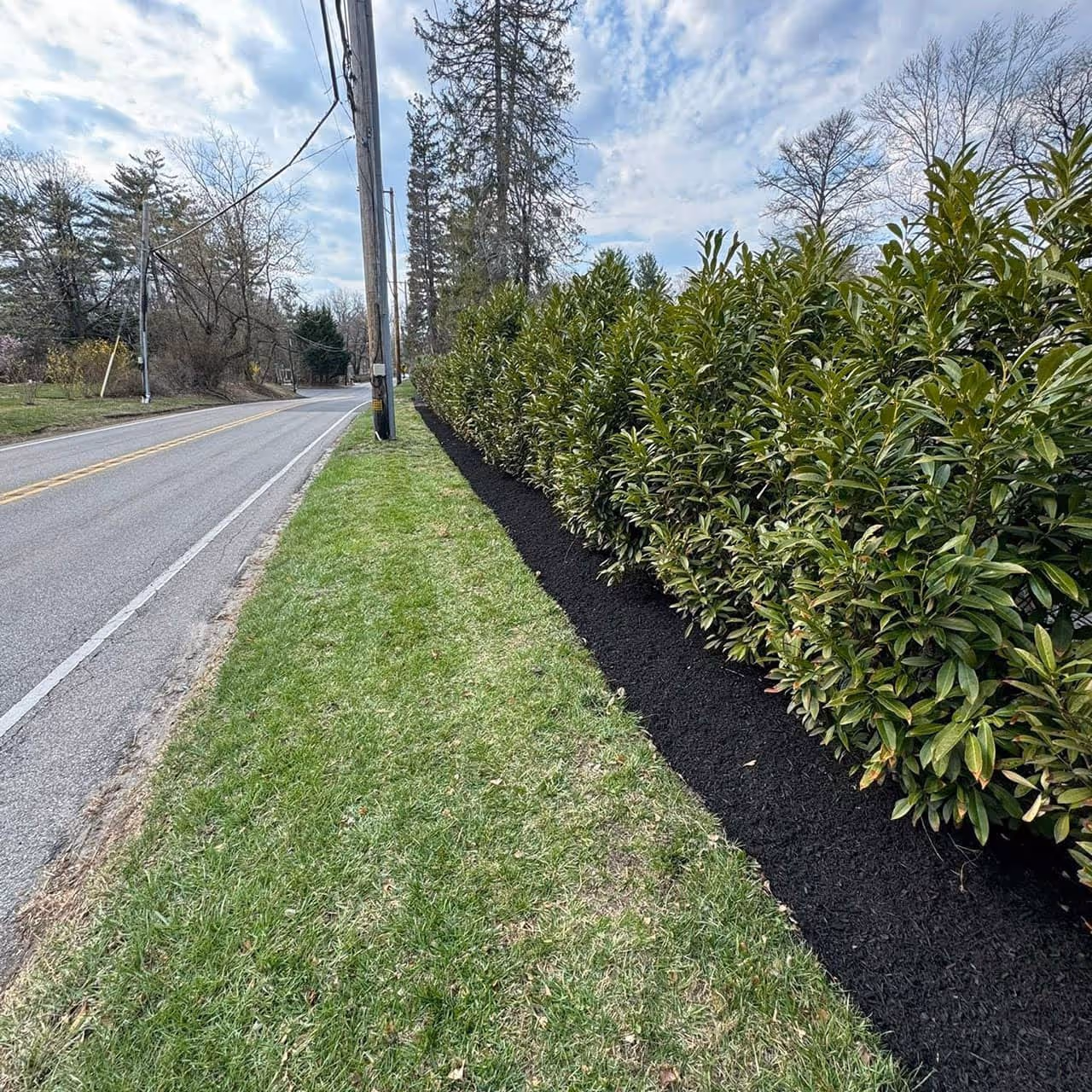 Neatly trimmed strip of grass alongside road with a mulched, accented shrub bed near me.