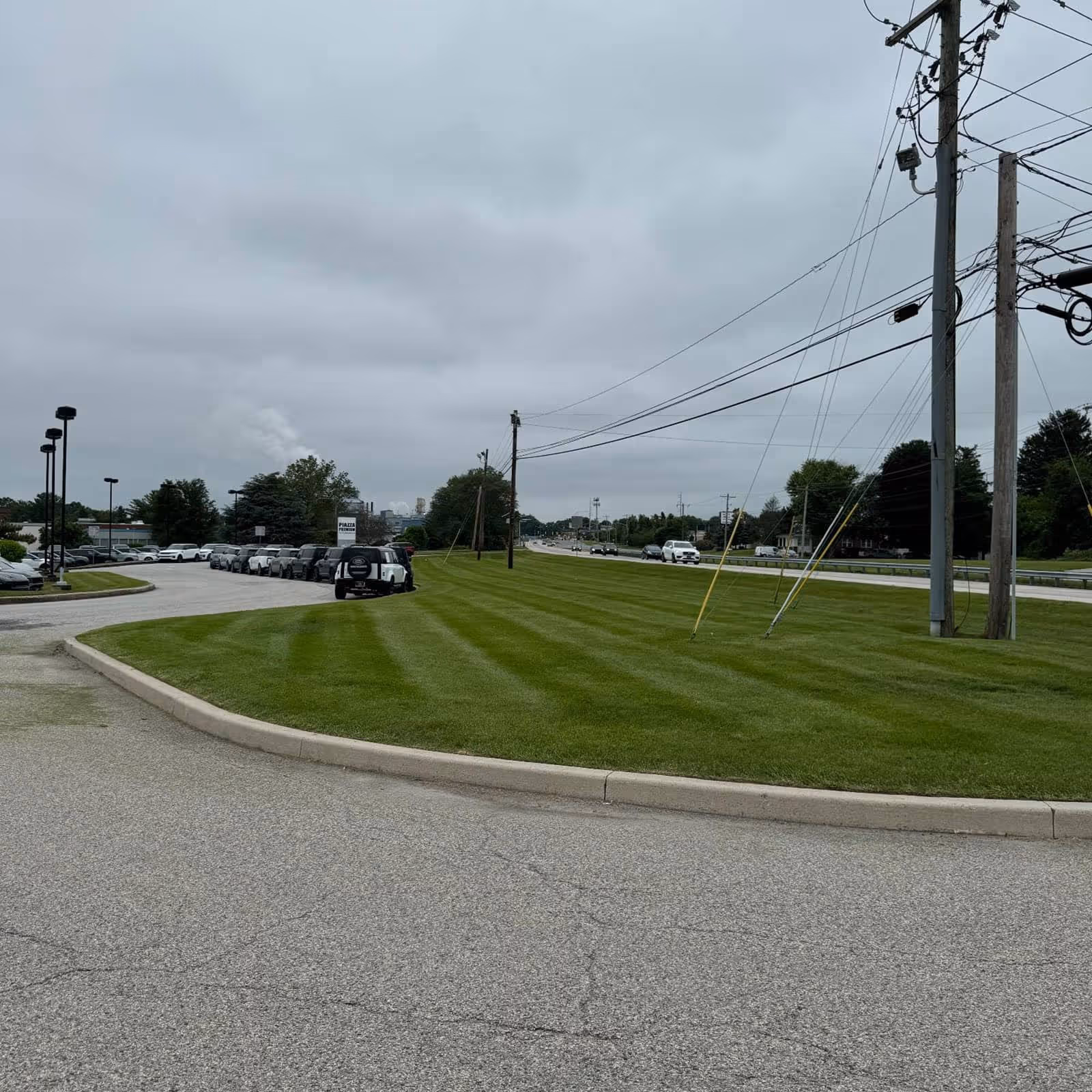 Neatly trimmed, edged, and cut lawn in front of businesses in Rutledge, PA providing lawn maintenance.