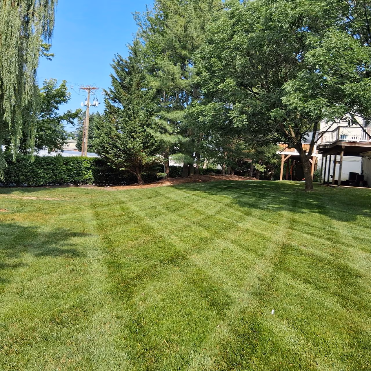 Professional lawn care company near me in Delaware County, PA