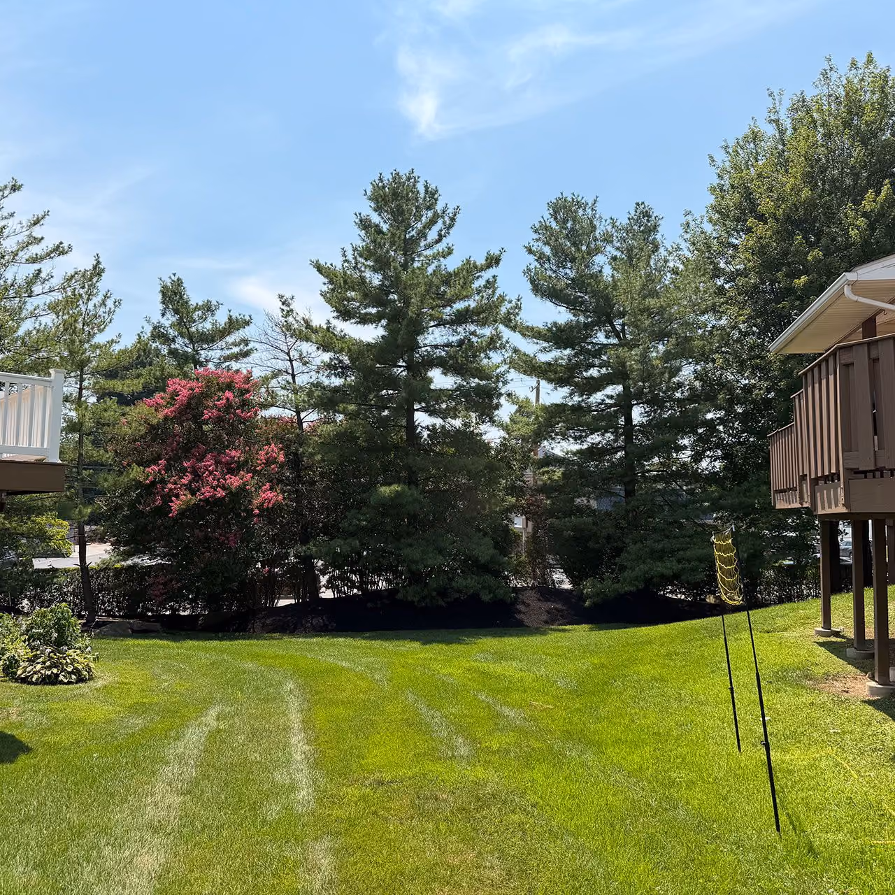 Lawn mowing and property maintenance in Havertown and Drexel Hill, PA