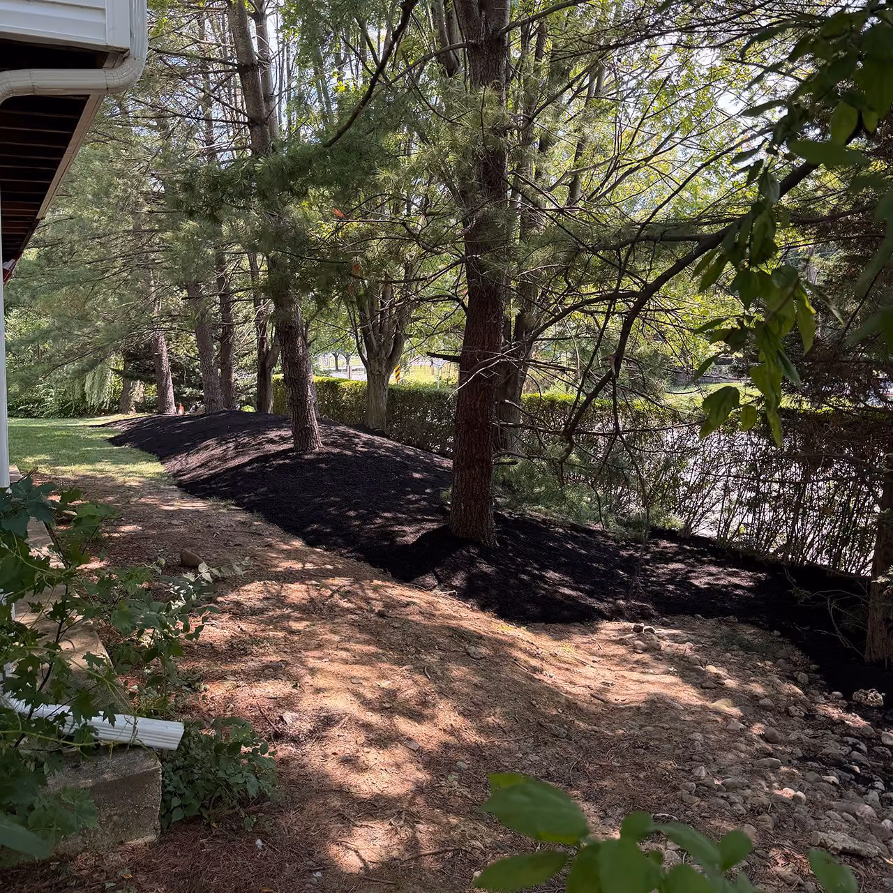 Professional planting and landscape enhancement services in Delaware County, PA
