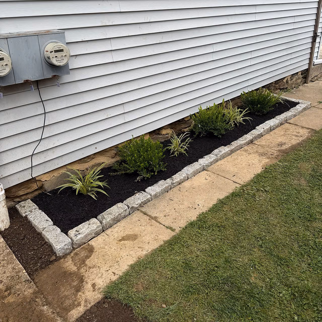 Professionally maintained garden bed by Morrisroe Landscaping with healthy plants and clean edging near me