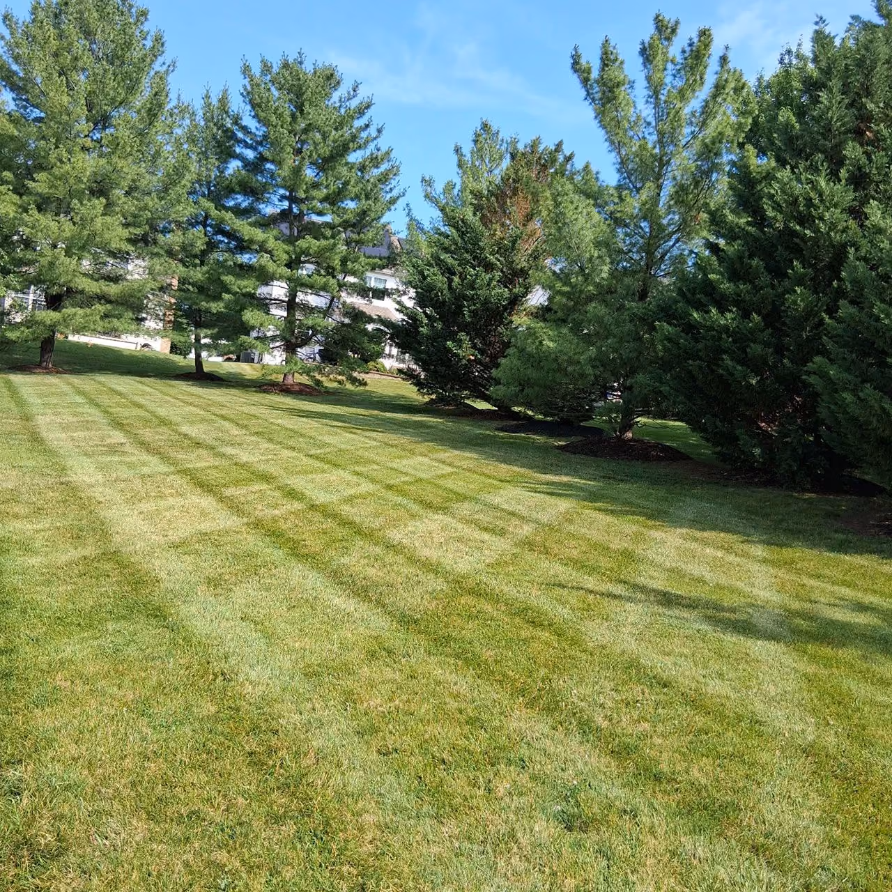 Professional lawn maintenance by Morrisroe Landscaping in Delaware County Pennsylvania
