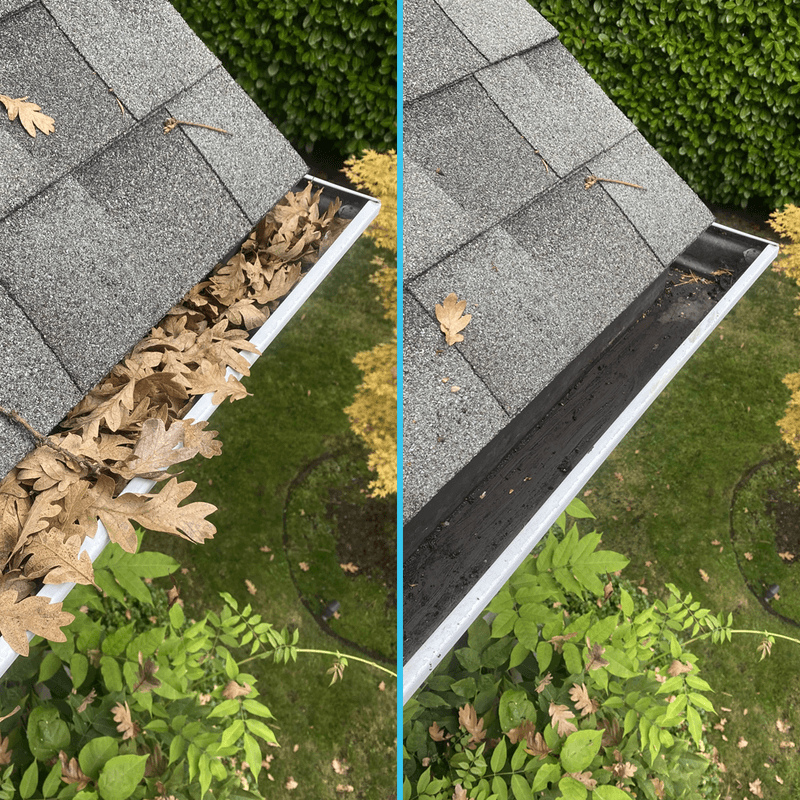 Gutter packed with leaves beside the same gutter cleaned out