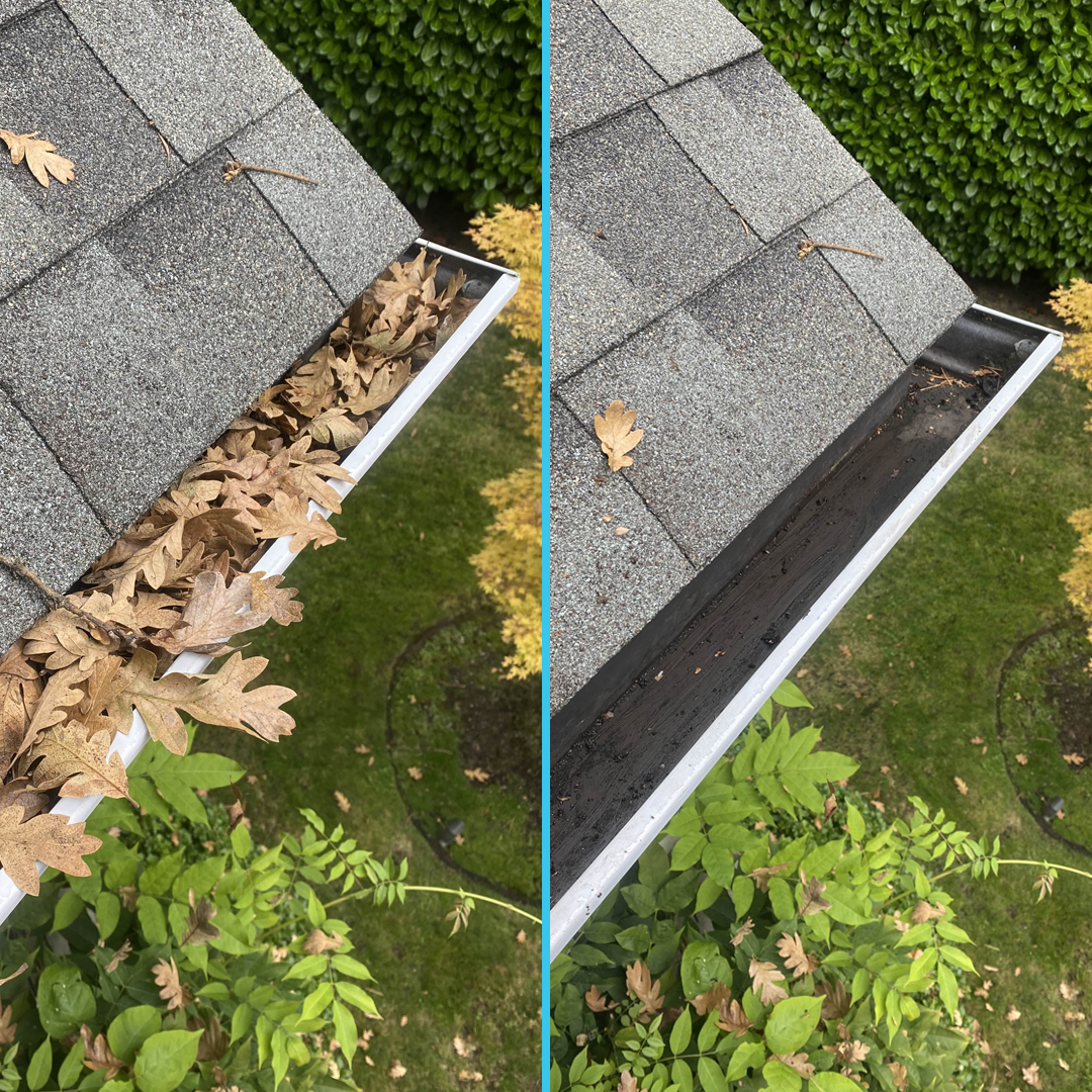 Side-by-side comparison of a roof gutter filled with dry brown leaves on the left and the same gutter cleaned and empty on the right.