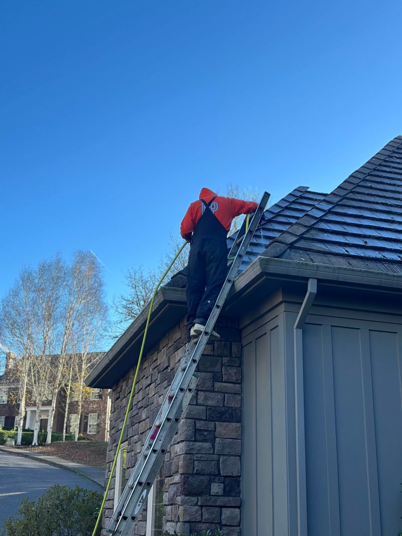Freshly soft-washed residential roof after moss treatment