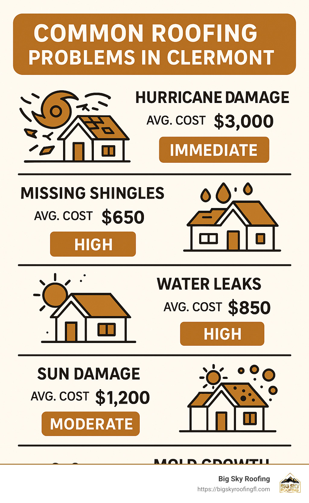 Common roofing problems in Clermont