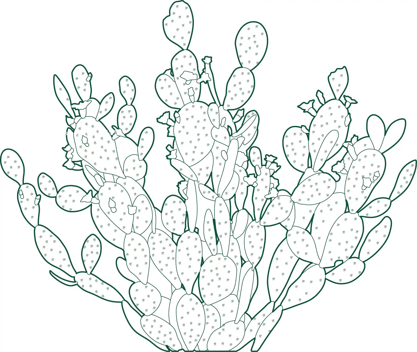 Download Opuntia (Prickly Pear Cactus) CAD blocks in plan and elevation. Ideal for xeriscape design, desert landscapes, and contemporary architectural planting drawings.