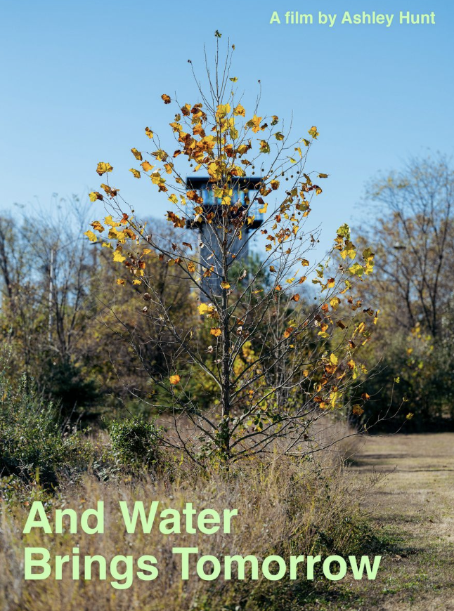 A picture of a natural environment overlaid with the name of the film.