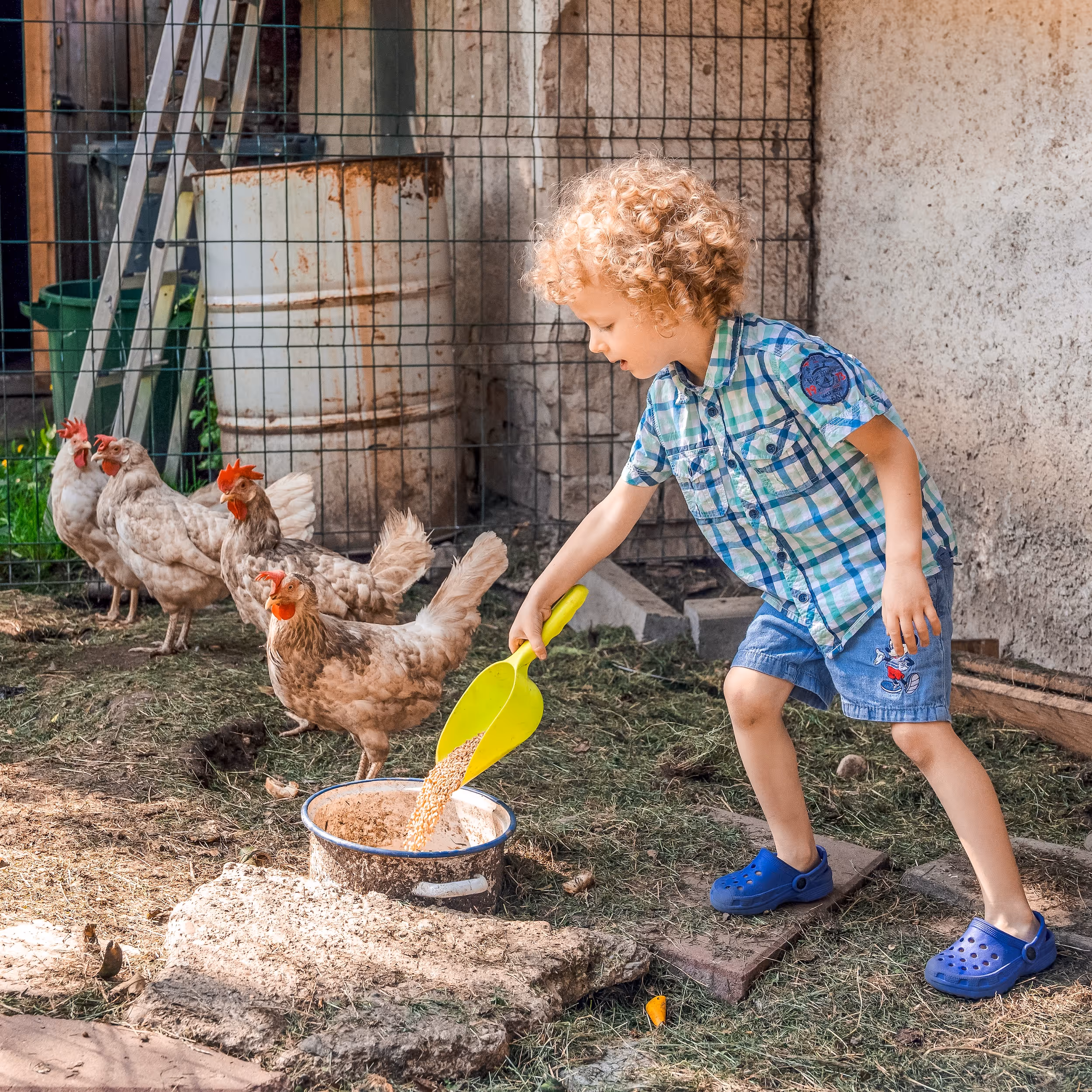 Kleiner Junge des PECA-Kinderheim füttert die Hühner.