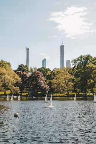 Sailboats on pond with trees and city skyline in background.
