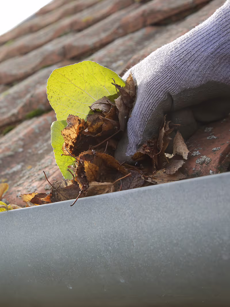 Cleaning the gutters