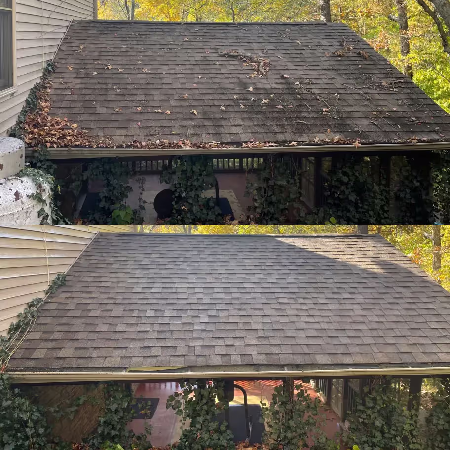 before and after gutter cleaning